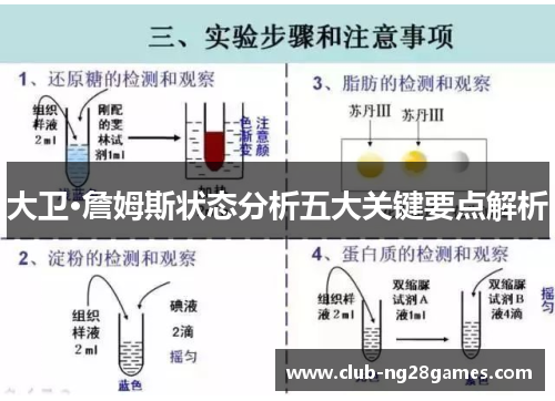 大卫·詹姆斯状态分析五大关键要点解析
