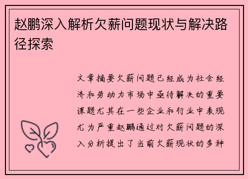 赵鹏深入解析欠薪问题现状与解决路径探索
