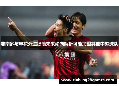 费南多与申花分道扬镳未来动向解析可能加盟其他中超球队